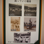 P9292642.jpg