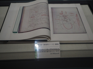 P9292761.jpg
