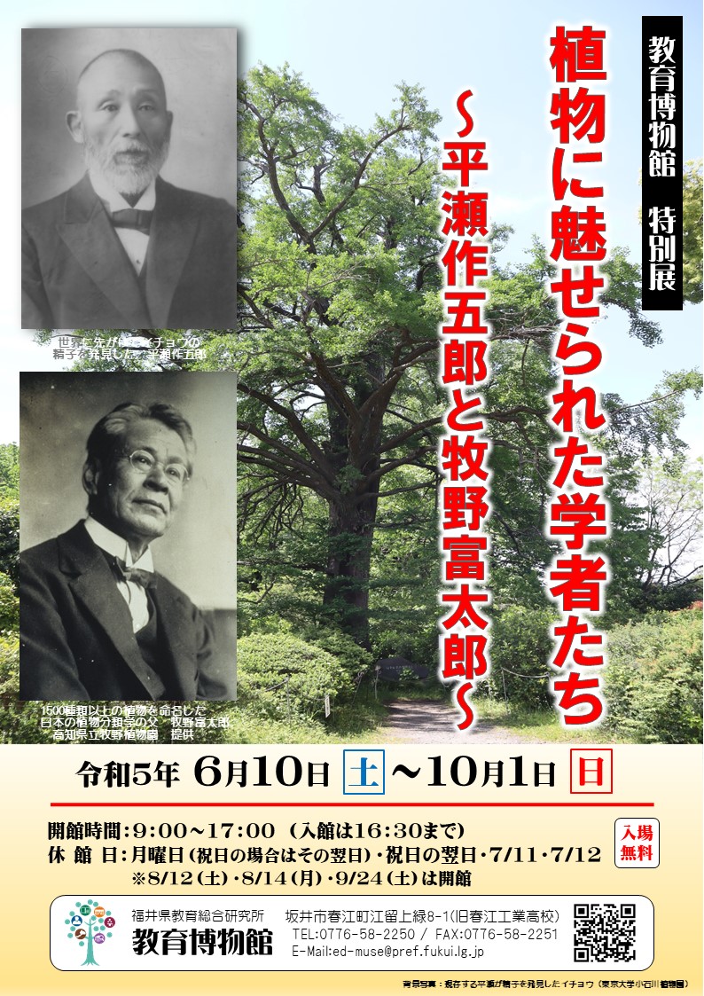特別展チラシ表.jpg