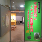 IMG_3894.JPG